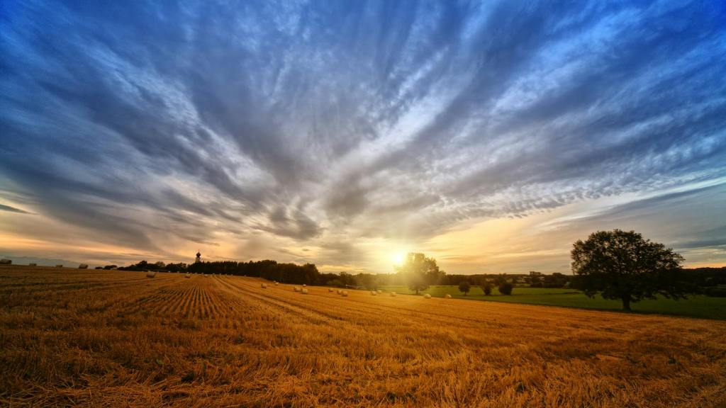 Coming home to center: yoga philosophy and the energy of late&nbsp;summer